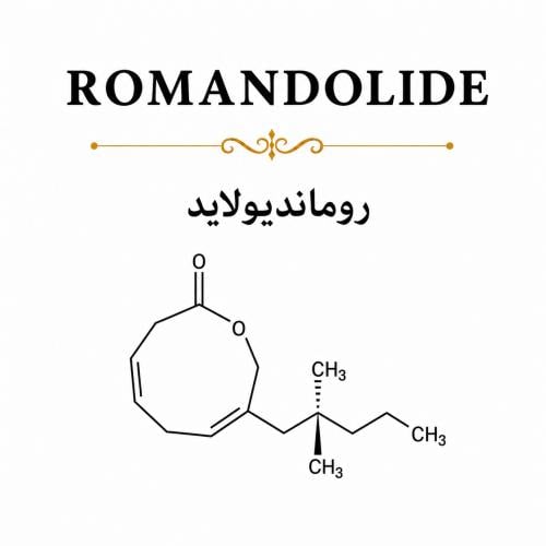 ROMANDOLIDE