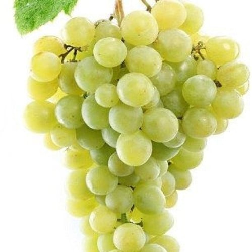 زيت العنب الابيض العطري