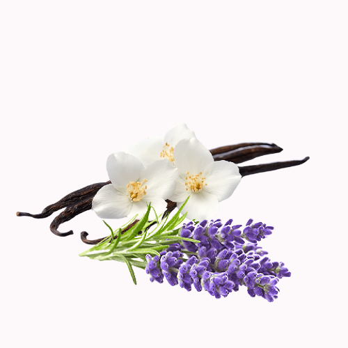 زيت لافندر فانيلا العطري