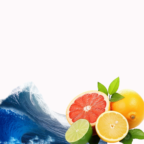 زيت خام حمضيات & بحري منعش العطري