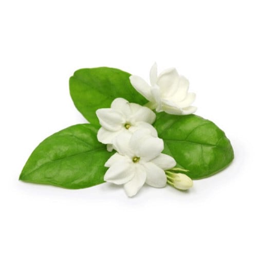 زيت الفل العطري