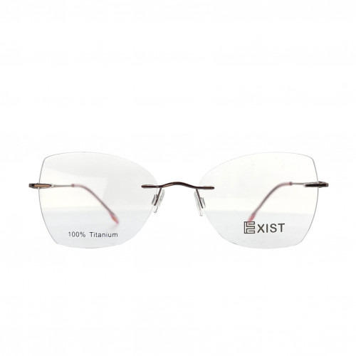 EXIST TW 2012 53 1 FR