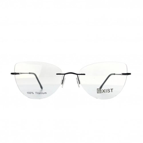 EXIST TW 2010 54 4 FR