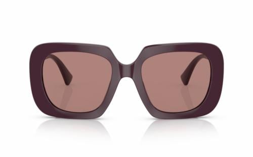VERSACE 4434 54 5382.73 SG