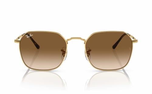 RAY.BAN 3694 53 001.51 SG