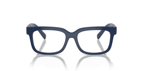 DOLCE&GABBANA 5002 49 3094 FR