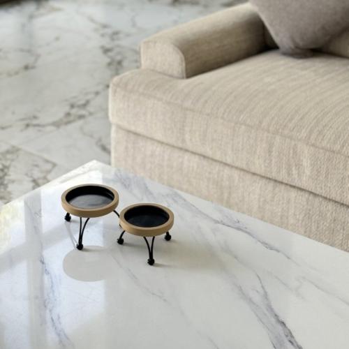 تقديمة بشكل مميز