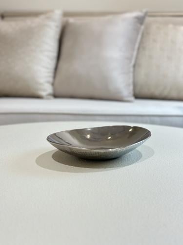 تقديمة سيراميك فضي