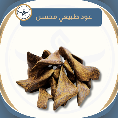 Nqwa 2 natural improved oud