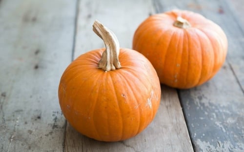 بذور يقطين الفطيرة الحلوة - Sugar Pie Pumpkin Seed...