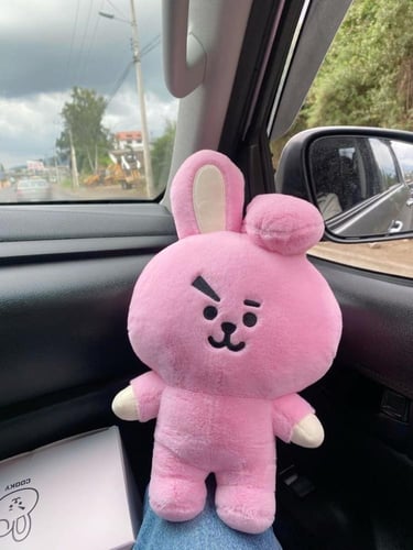 Cooky منbt21 كوكي الاصلي