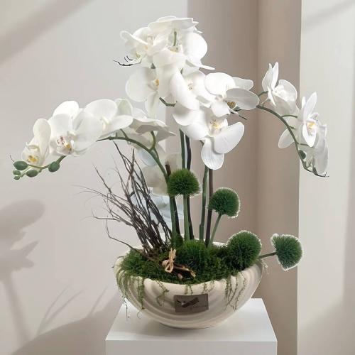 فازة بياض الطبيعة