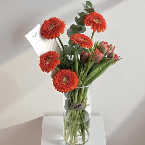 فازة بريق الهولندي