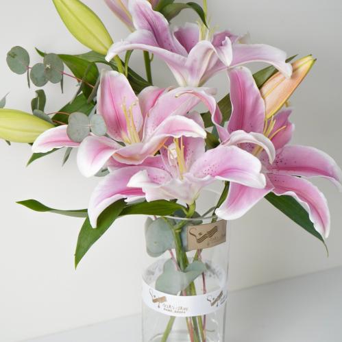 بريق الكازبلانكا