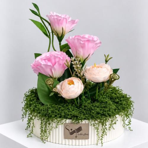 فازة شوق