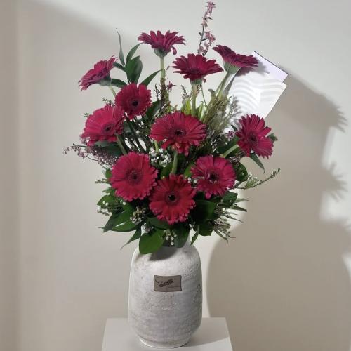 ترنيمة جيربيرا