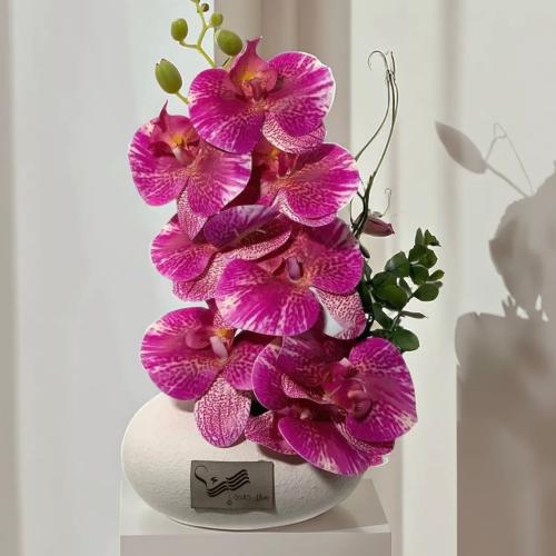 فازة اوركيد