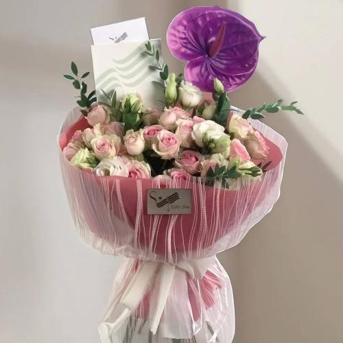 باقة سحر الغموض