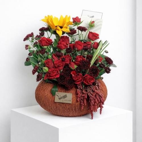 فازة مدار النور