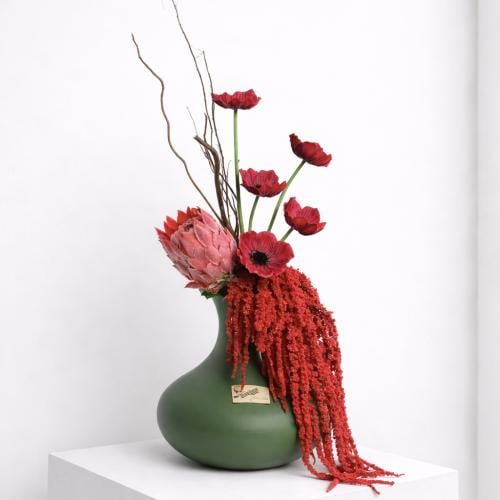 فازة شقائق النعمان