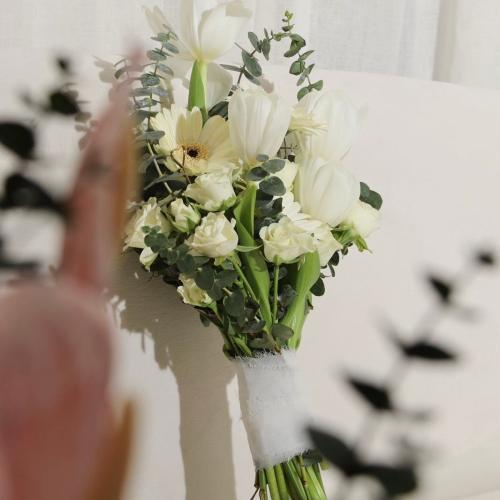 مسكة جاذبية الهولندي