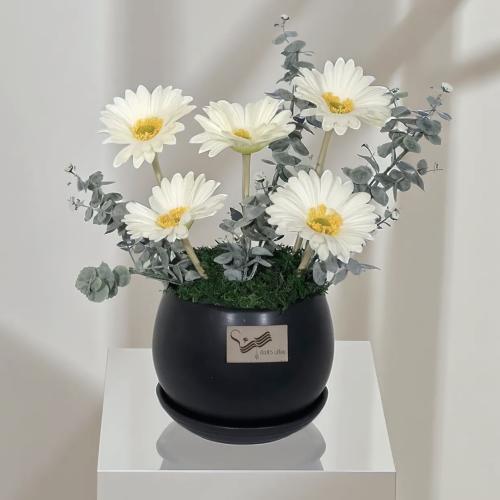 فازة كهرمان