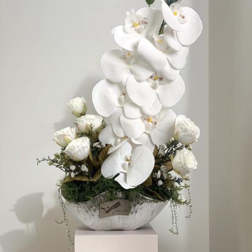 فازة لمعان المودة