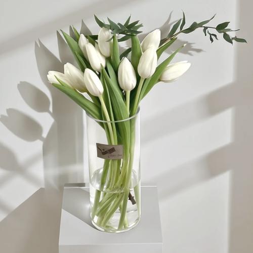 فازة رقة توليب