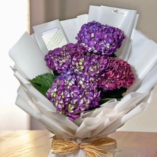 باقة هدرنجا الفاخرة