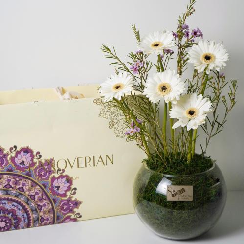 باكيج معرفة استثنائية