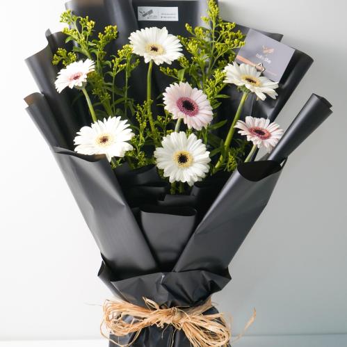 فخامة الجيربيرا