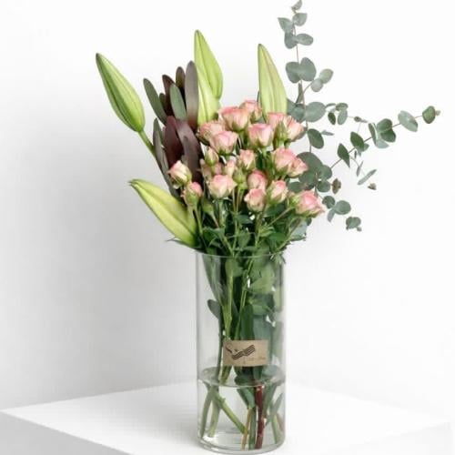 فازة الاوركيد