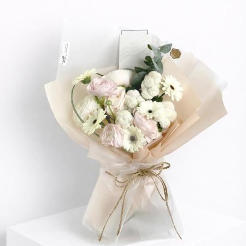 باقة رينالكوس