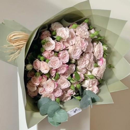 باقة بيبي جوري