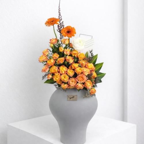 فازة الشروق