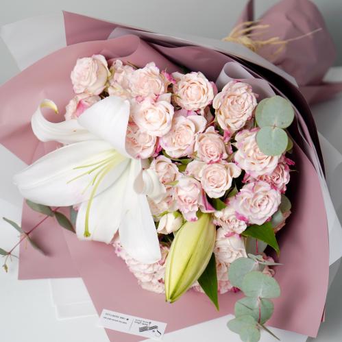 دهشة الكازبلانكا