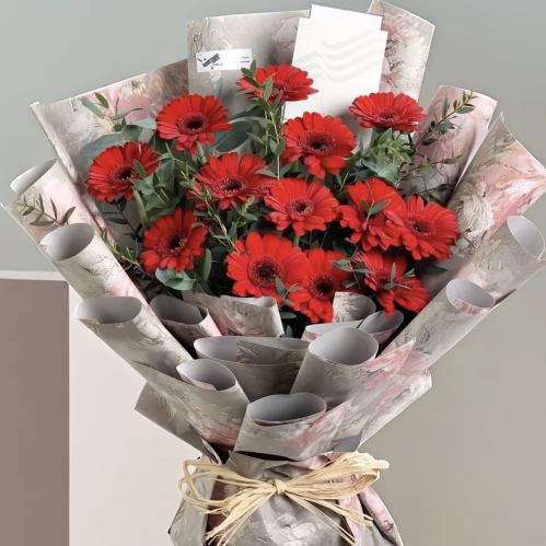 حقل الجيربيرا