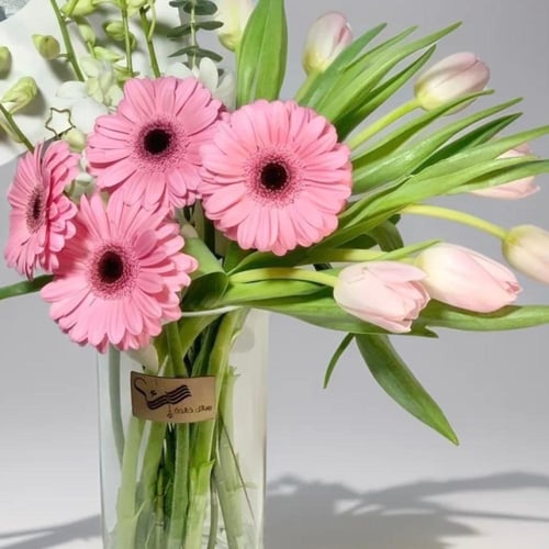 روح الطبيعة