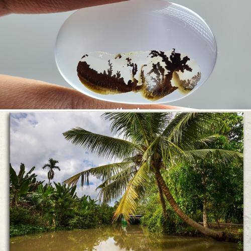 عقيق مصور منظر طبيعي نخل واشجار وبحر سبحان الله عق...