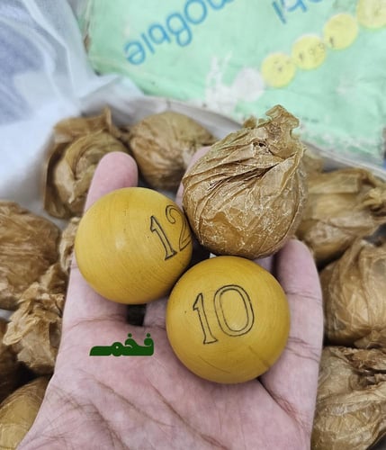 كوره واحده سوفيتيه قديمة خامة لصنع السبح حجم الكور...