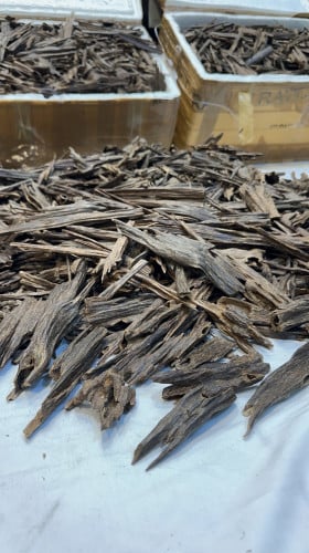 ‏عود طبيعي زورا غابات ناجالاند مرتفع مع دبل