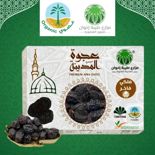 نصف كيلو عجوة المدينة عضوية منتج مميز طبيعية 100٪