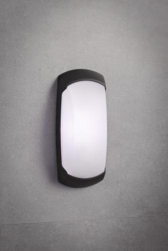 2A1.000.000.AYE27 كشاف جداري فوموجالي