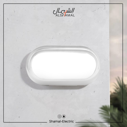 كشاف بيضاوي رمش ابيض