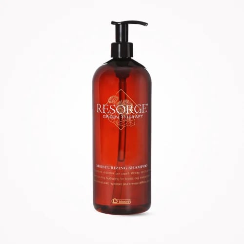 Moisturizing shampoo for hydrating dry hair from B...