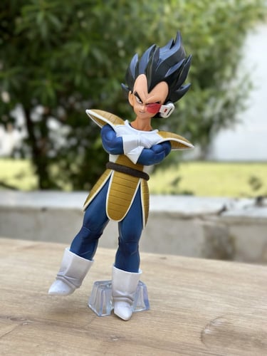 فيقر فيجيتا من انمي دراغون بول