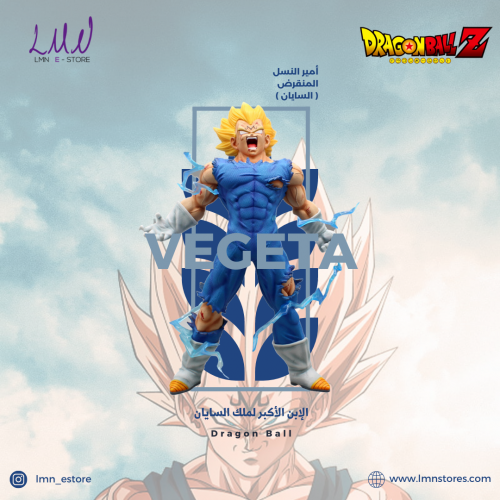 فيقر فيجيتا من انمي دراغون بول