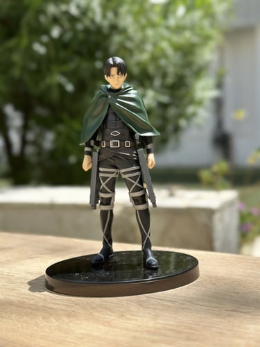 فيقر ليفاي آكرمان انمي هجوم العمالقة