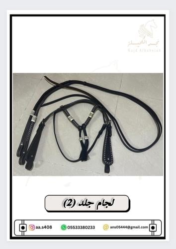 لجام حلد (2)