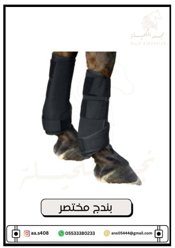 باندج مختصر